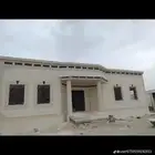 بديل الحجر الطبيعي لياسه ملونه باللاسمنت الابيض وبطحاء الريا