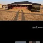 بيوت شعر تركي خط احمر