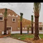 يوجد لدينا جميع انواع النخيل العربي والواشنطن بكل المقسات