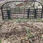 شد غمارتين عقرب رص