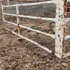 شد ددسن وهيلكس غمارتين عقرب