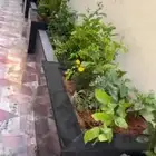 شركه تنسيق حدئق القصيم