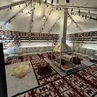 بيوت شعر تجهيز مخيمات مع بكج لاثاث