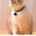 مستلزمات بسه جديده