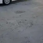 اكسنت 2019