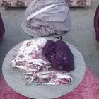 كنب