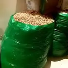 نوئ التمر البيع فيه كميه ارقم