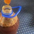 عسل سدر متبلور ممتاز
