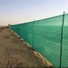 شبوك ونخل