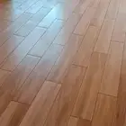 فني بلاط