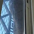 استخراج نحل من البيوت وغيرها