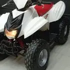 دباب تايواني كبير حجم 110 توماتيك