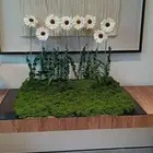 تنسق حفلات طاولات طعام استقبال تخرجات شاشت عرض