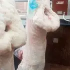 عروض بأرخص الاسعار واللحم بلدي ومستورد