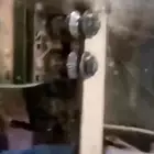 براية لصناعة الكراسى