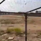 شبك كبير 3 3 ارتفاع مترين الشبك كفوو جدا استخدام بسيط شبه