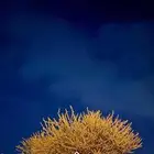 توصل مشوار نمره شمران والقنفذه وبارق ومحايل عسير مجارده