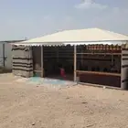 خيام ملكيه