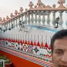 رسم قط عسيري بدقه عاليه وجوده ممتازه