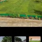 تنسيق حدائق نجيل صناعي وطبيعي جميع الاشجار تخريب نخل قصيل