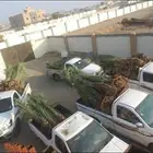 القوعيه الحبه انخل الجله تبرك ضرام جو المزحميه الرياض الخرج