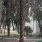 يوجد الدينا جميع انواع انخيل