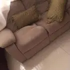 كرسي استرخاء سينماي