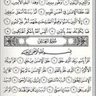 معلمة تأسيس سودانية 300 ريال
