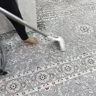 مكافحة الحشرات وتغسيل وتعقيم الفرش بالبخار