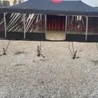 صيانه وتركيب الخيام وبيوت اشعر