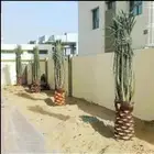 نقايل وحيش بجميع أنواعه
