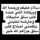 كلب سلق