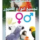 تحليل DNA لمعرفة جنس الطيور