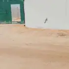 بيت شعبي