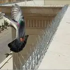 تركيب طارد حمام شبك واشواك