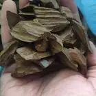 بخور اندونيسي محسن (سوبر) درجة أولى عرض خاص