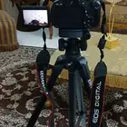 جدة حي الصفا