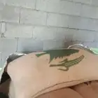 سمسم نظيف ومشروط