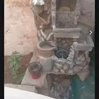 شلال زينه للطيور والحوش