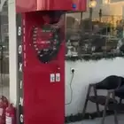 لعبة البوكس