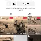 تيك توك للبيع