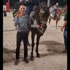 مطلوب نقل حصان من تبوك إلى حايل