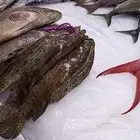 اسماك طازه صلاتى على الحبيب