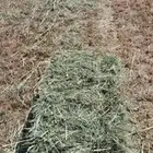 بلوبنك صافي ناعم