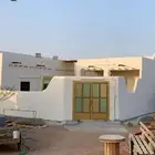 مطلوب بيت للاجار صامطه البدوي الزاويه