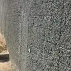 طرطشه مسماريه