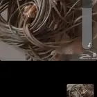 سلك كھرب جديد