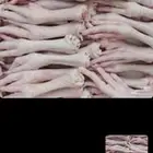 مطلوب ارجل دجاج