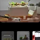 حوض سمك ديكور صغير