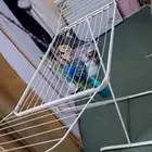 موقعي السبهاني منشر جودتها عاليه اصلي جديد غير مستخدم ب 70 ر